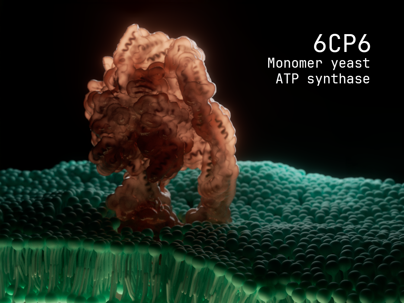 PDB 6CP6 final render in Cinema 4D with Redshift — ATP Synthase scientific visualization by Juan Pedro Bozzolo